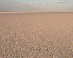 Al Jafr Desert
