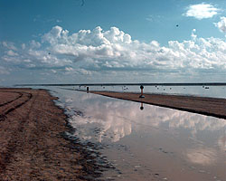 Water advances on the desert access track