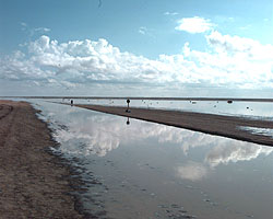 Flood waters on the desert access road