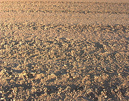The desert surface pulverised after a supersonic run