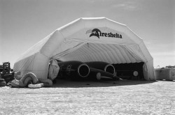 SSC in the Aireshelta