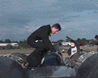 Thumbnail version