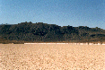 Thumbnail version