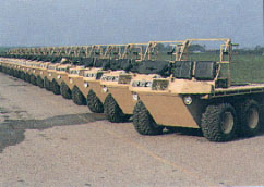 Lineup photo