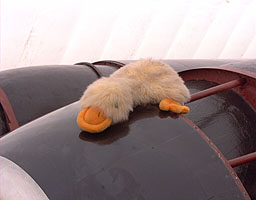 Jeremy Duck